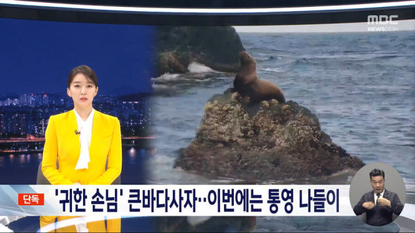 한국에서 100년만에 발견된 동물