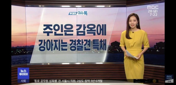 개는 배신 안 해