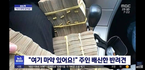 개는 배신 안 해