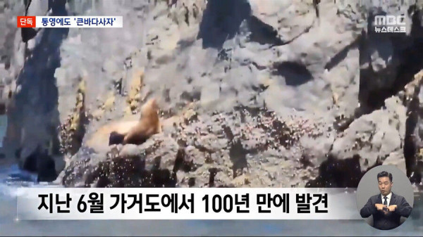 한국에서 100년만에 발견된 동물