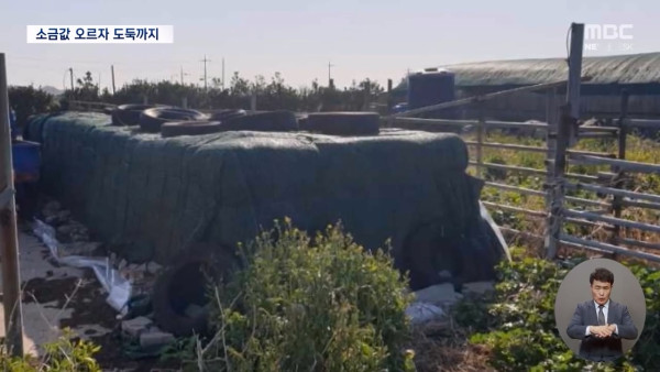 소금 14톤 훔쳐간 범인.. 잡고보니 같은동네 아는 사람