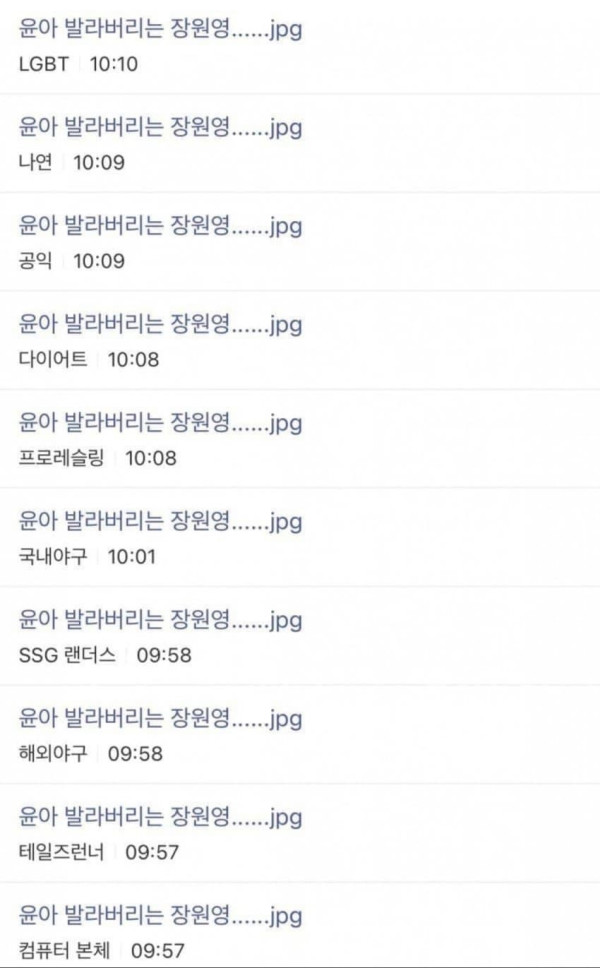 걸그룹 바이럴....공정위 조사착수