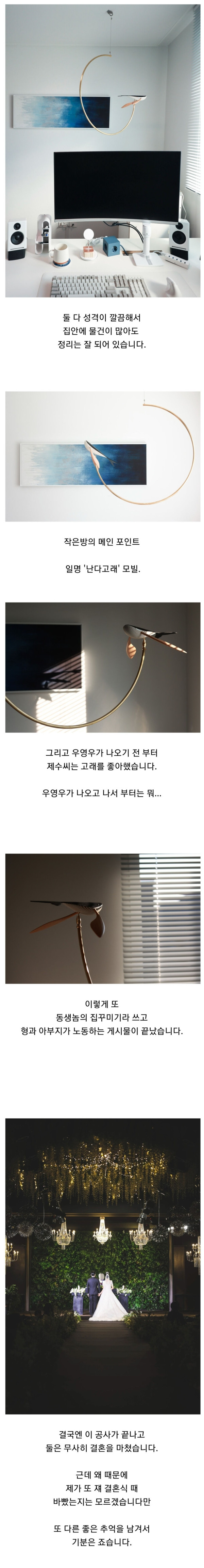 동생 14평 빌라를 리모델링 해준 형