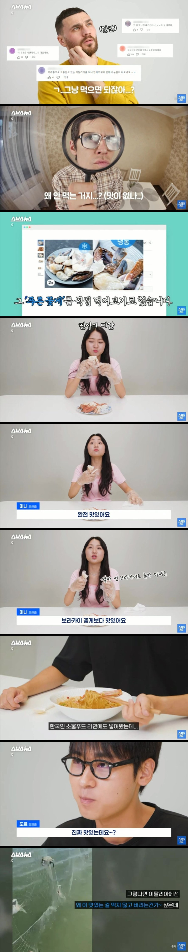 이탈리아에서 꽃게를 죽이는 이유