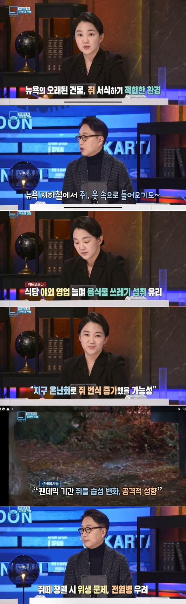 뉴욕 근황
