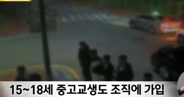 점점 어려지는 조폭 조직원