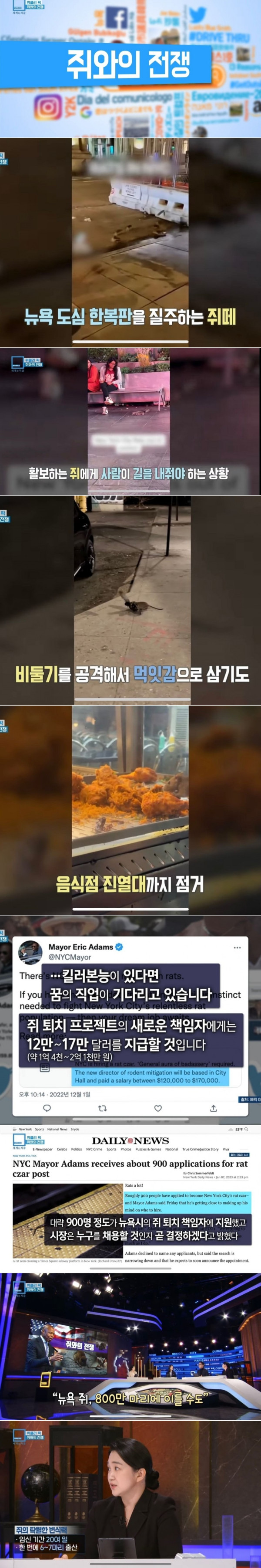 뉴욕 근황