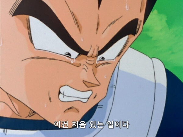 베지터 명장면을 리얼하게 재현한 피규어