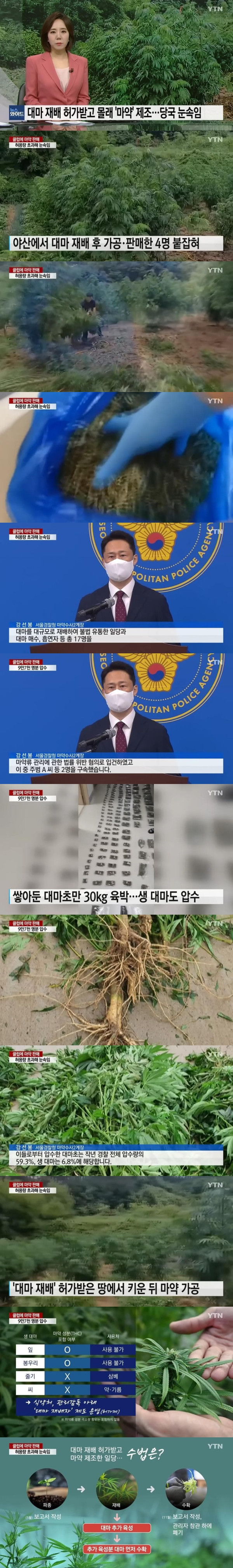 국내에 마약이 많이 돌아다닌 이유