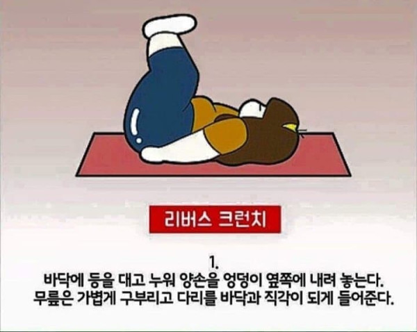 칼로리 태우는 운동법
