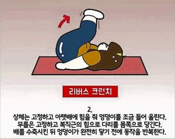 칼로리 태우는 운동법