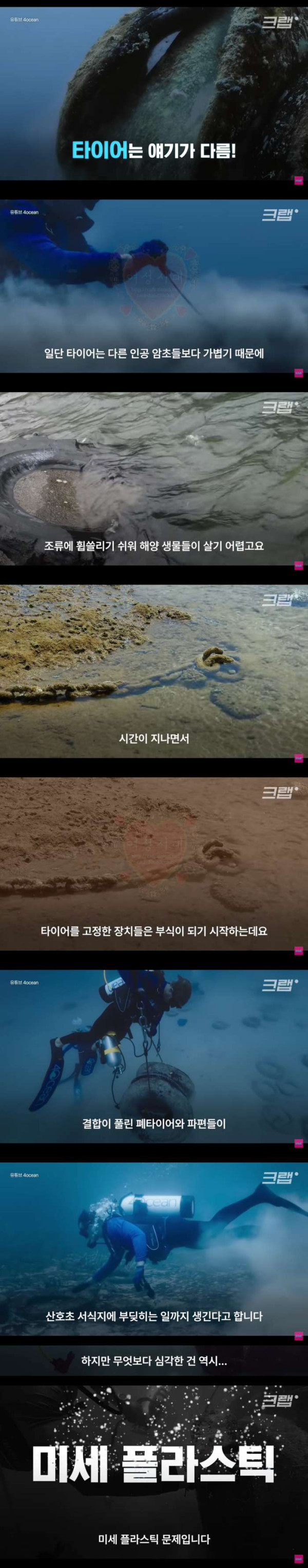 50만개의 타이어가 묻혀 있다는 미국 바다 속