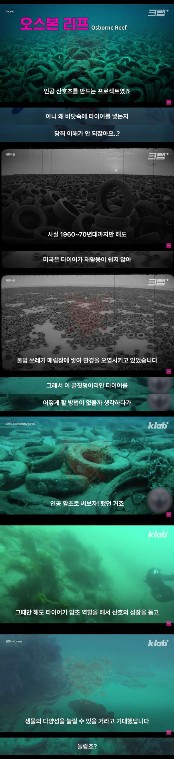 50만개의 타이어가 묻혀 있다는 미국 바다 속