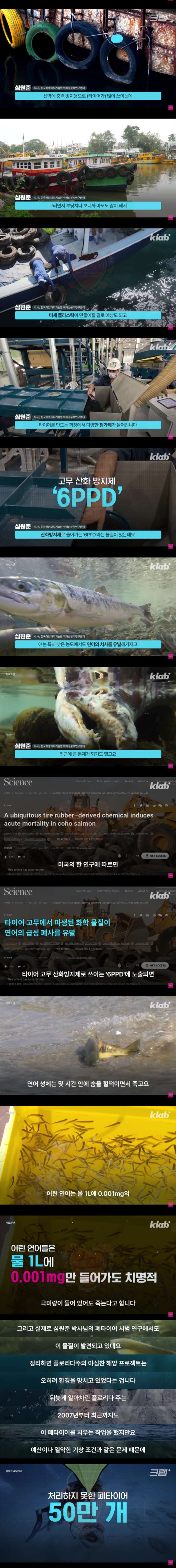 50만개의 타이어가 묻혀 있다는 미국 바다 속