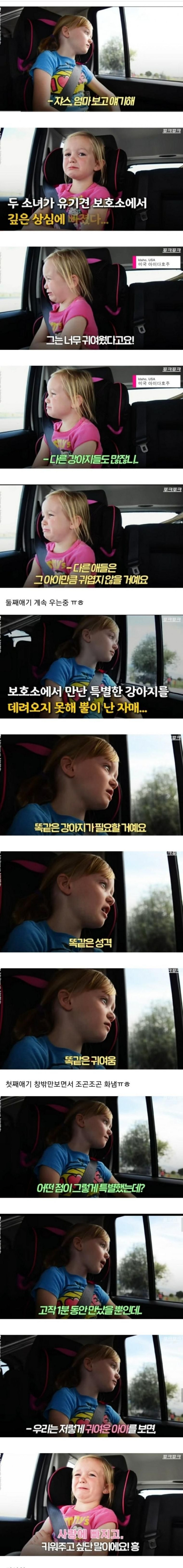 유기견 보호소와 소녀의 눈물