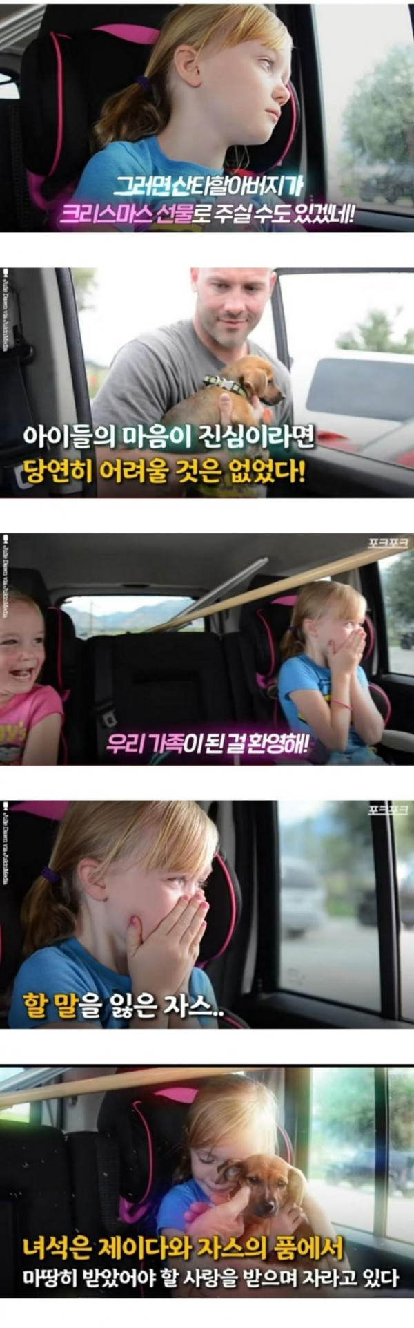 유기견 보호소와 소녀의 눈물