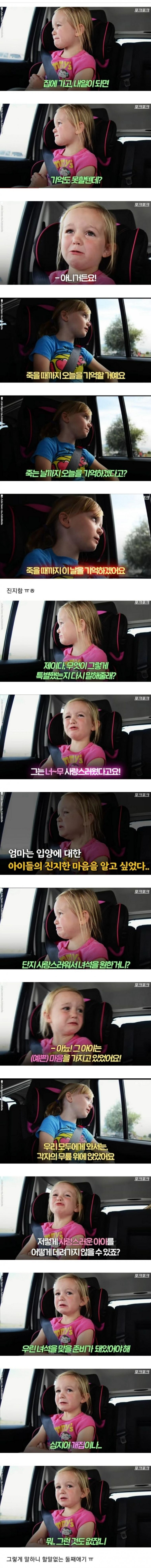 유기견 보호소와 소녀의 눈물