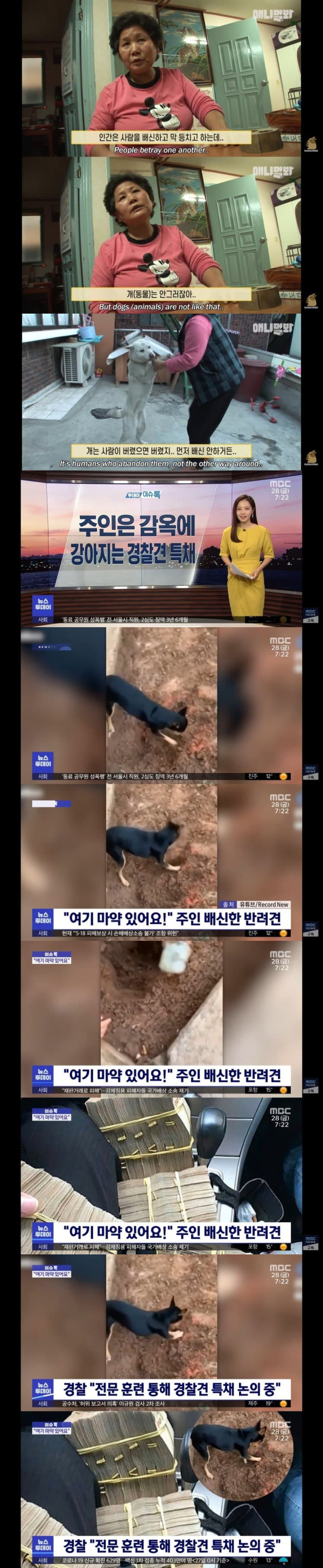 개는 배신 안 해