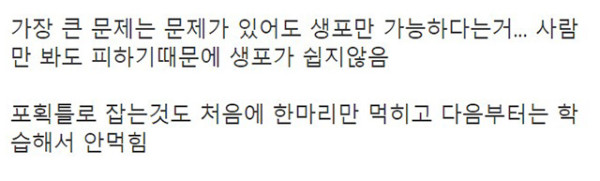 옥상에서 벽돌던지는 초등생들
