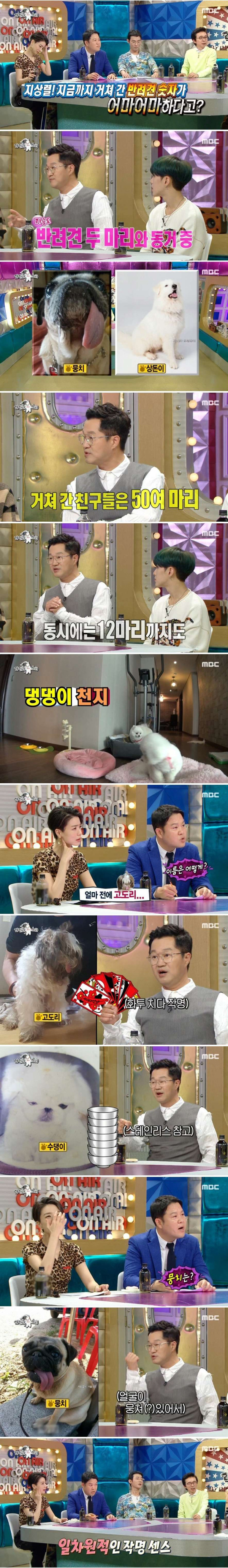 지금까지 50마리의 개를 키웠다는 지상렬