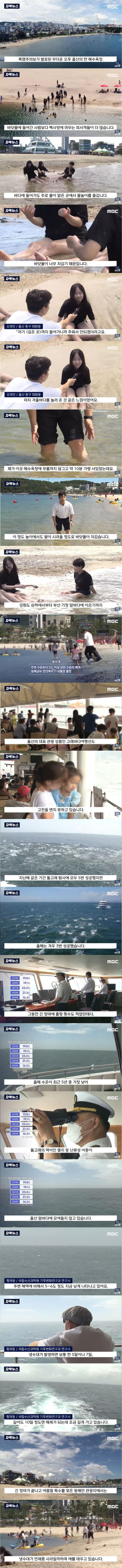 동해안 수온 근황