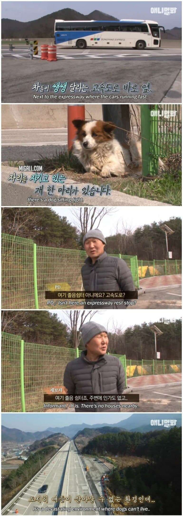 고속도로 쉼터에 버려진 유기견