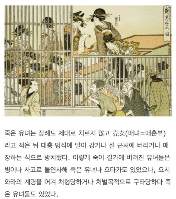 평균 수명이 약 23세였던 일본 요시와라 유녀들