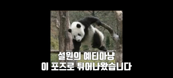 딸배헌터 부산가자마자 두들겨맞음