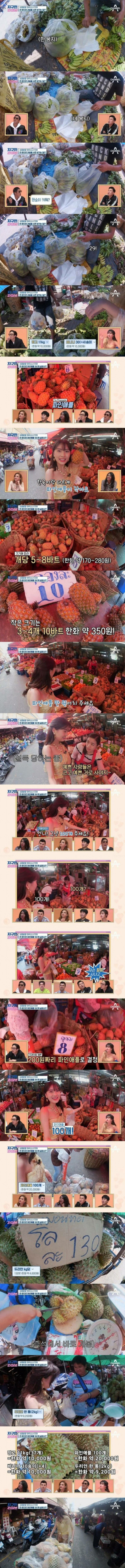 태국에서 5만원에 구매할수 있는 과일들