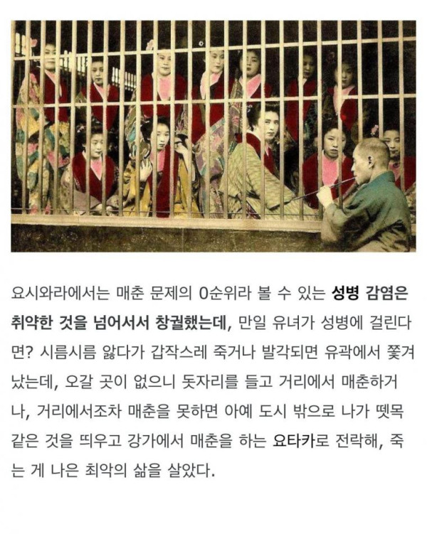 평균 수명이 약 23세였던 일본 요시와라 유녀들