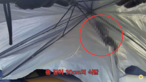 말다툼 중인 손님의 우산 속에 있던 물건