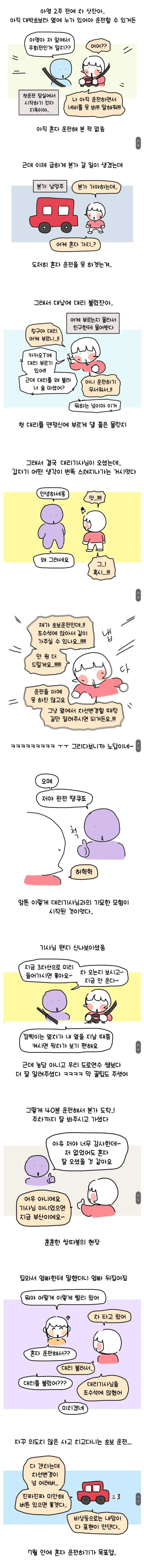 대낮에 맨정신으로 대리기사 부른 썰