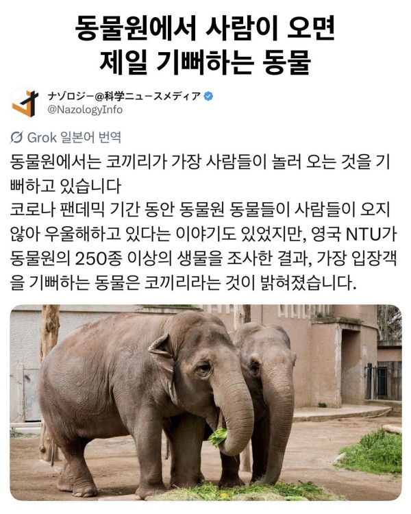 동물원에 사람이 오면 제일 기뻐하는 동물