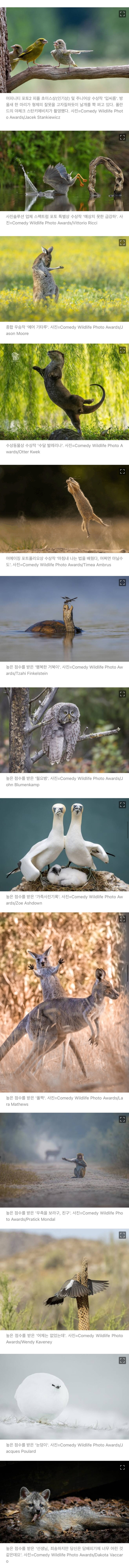 2023년 코미디 야생동물 사진대회 수상작