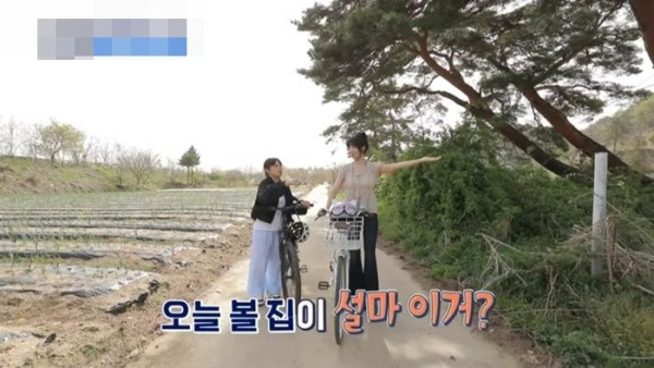 생각보다 키가 엄청 크다는 아이브 레이