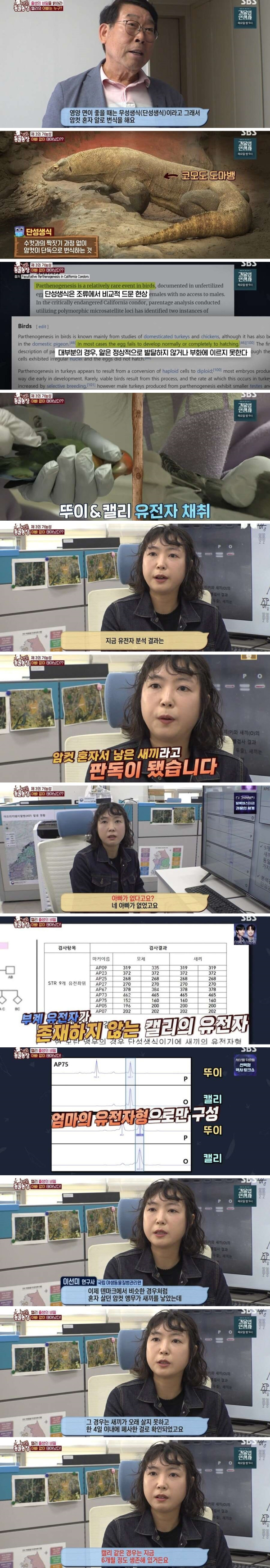 결국 논문거리까지 찾아낸 동물농장