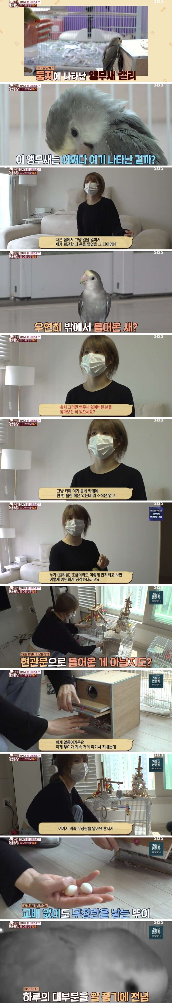 결국 논문거리까지 찾아낸 동물농장