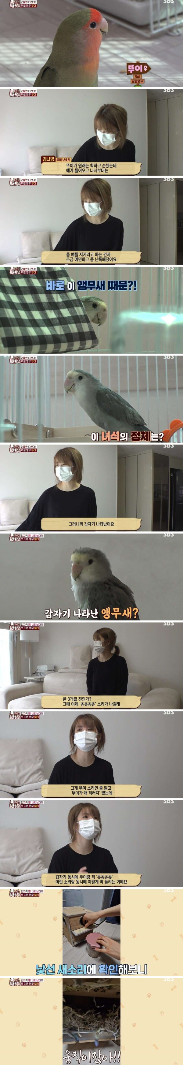 결국 논문거리까지 찾아낸 동물농장