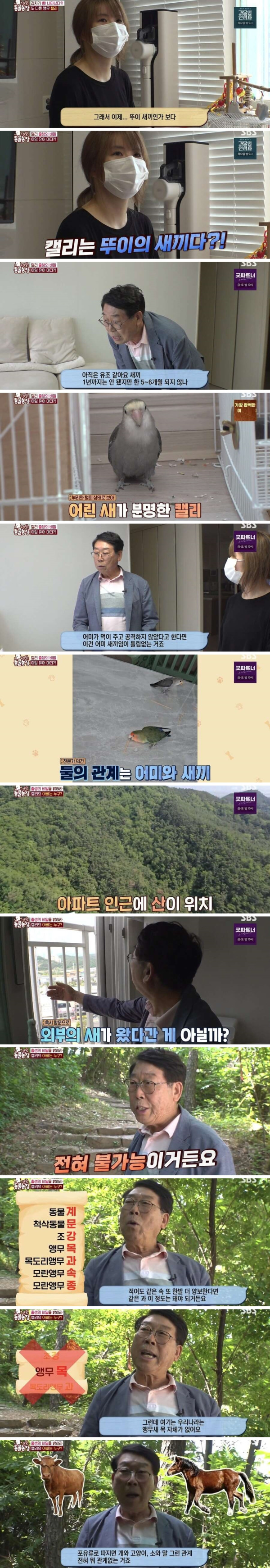 결국 논문거리까지 찾아낸 동물농장