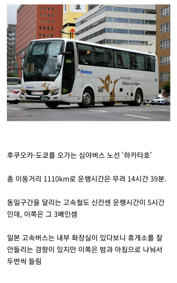 하루에 1100km 장거리 달리는 심야버스