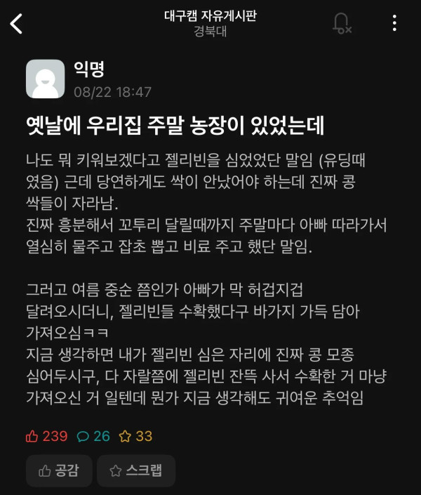 반응 뜨거운 경북대 에타글