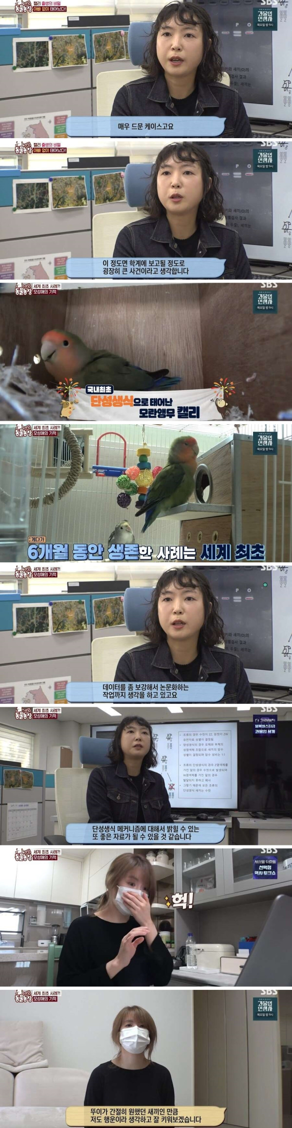 결국 논문거리까지 찾아낸 동물농장