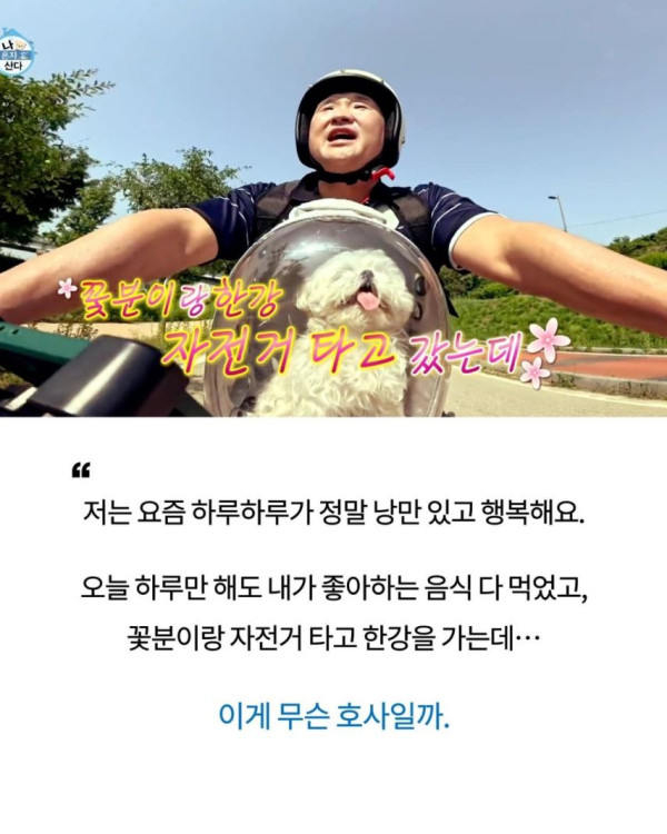 저는 제가 가장 이상적이에요