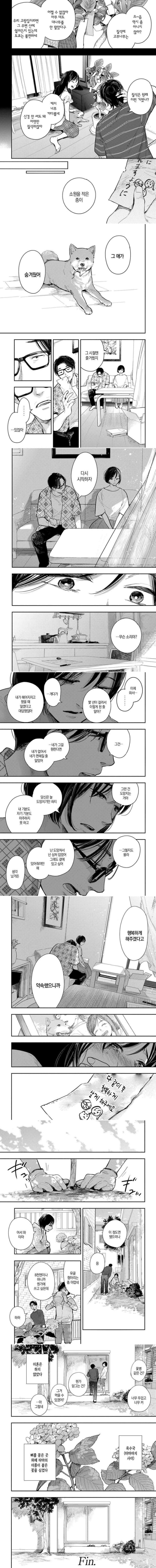 13년 키우던 강아지가 죽었다