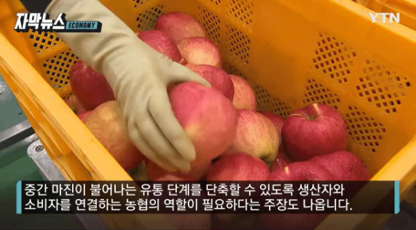 비싸진 사과 가격의 비밀