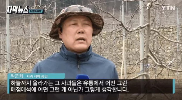 비싸진 사과 가격의 비밀