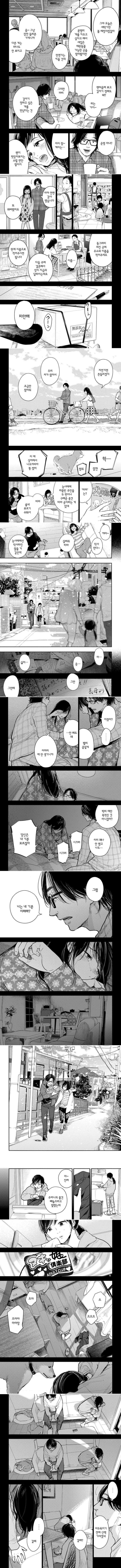 13년 키우던 강아지가 죽었다