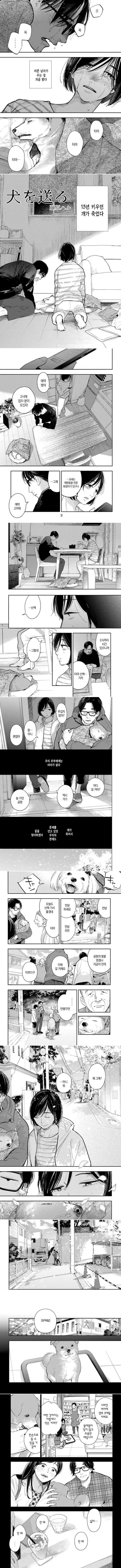 13년 키우던 강아지가 죽었다