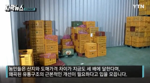 비싸진 사과 가격의 비밀