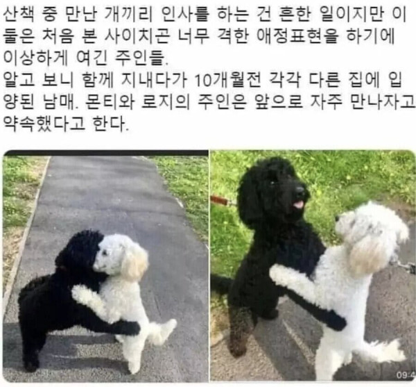 산책중에 우연히 만난 남매